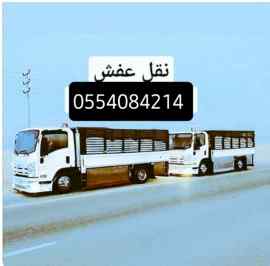 دينا نقل عفش حي الموسي 0554084214