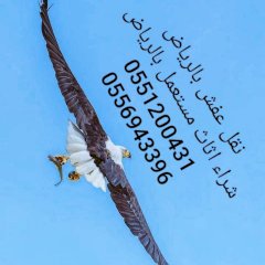 دينا نقل عفش بالرياض05569